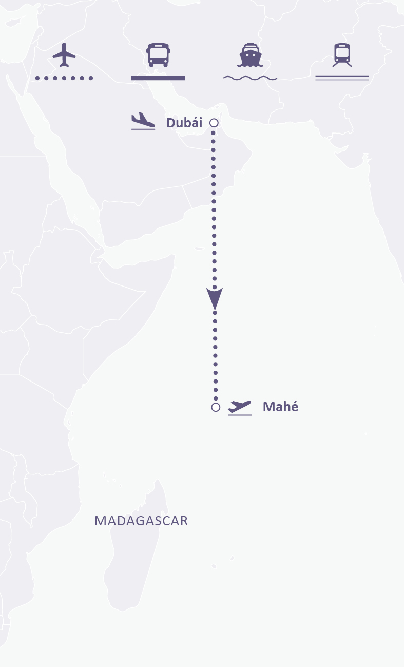 Mapa de ruta