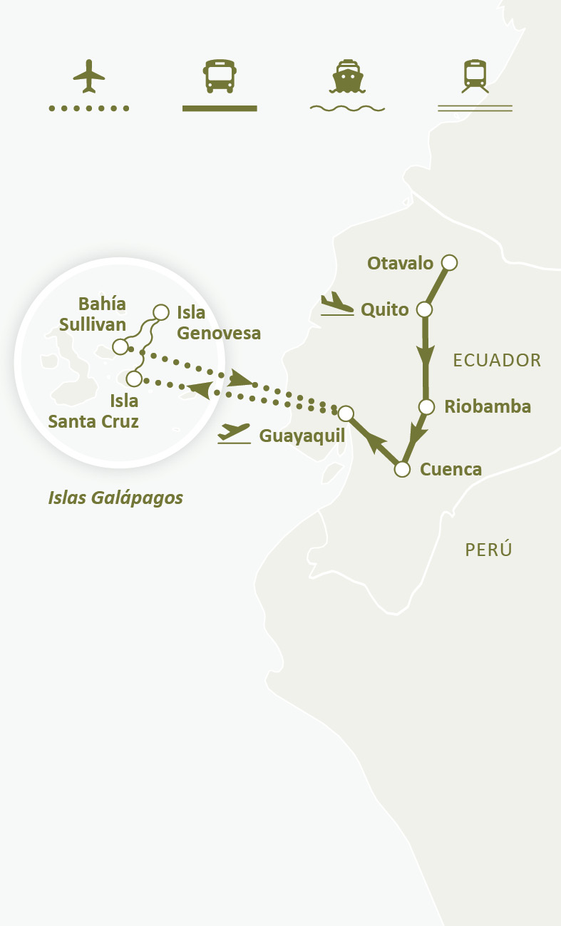 Mapa de ruta