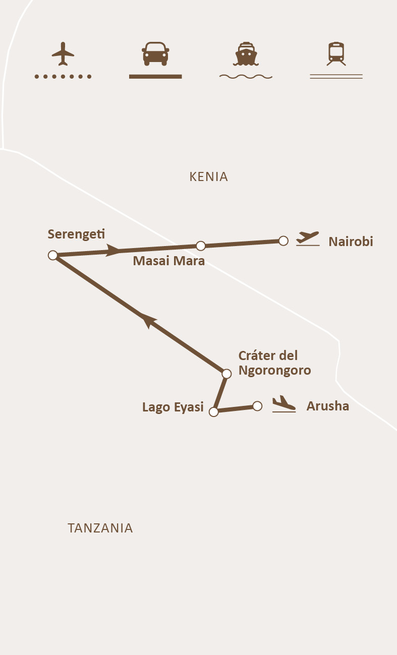 Mapa de ruta