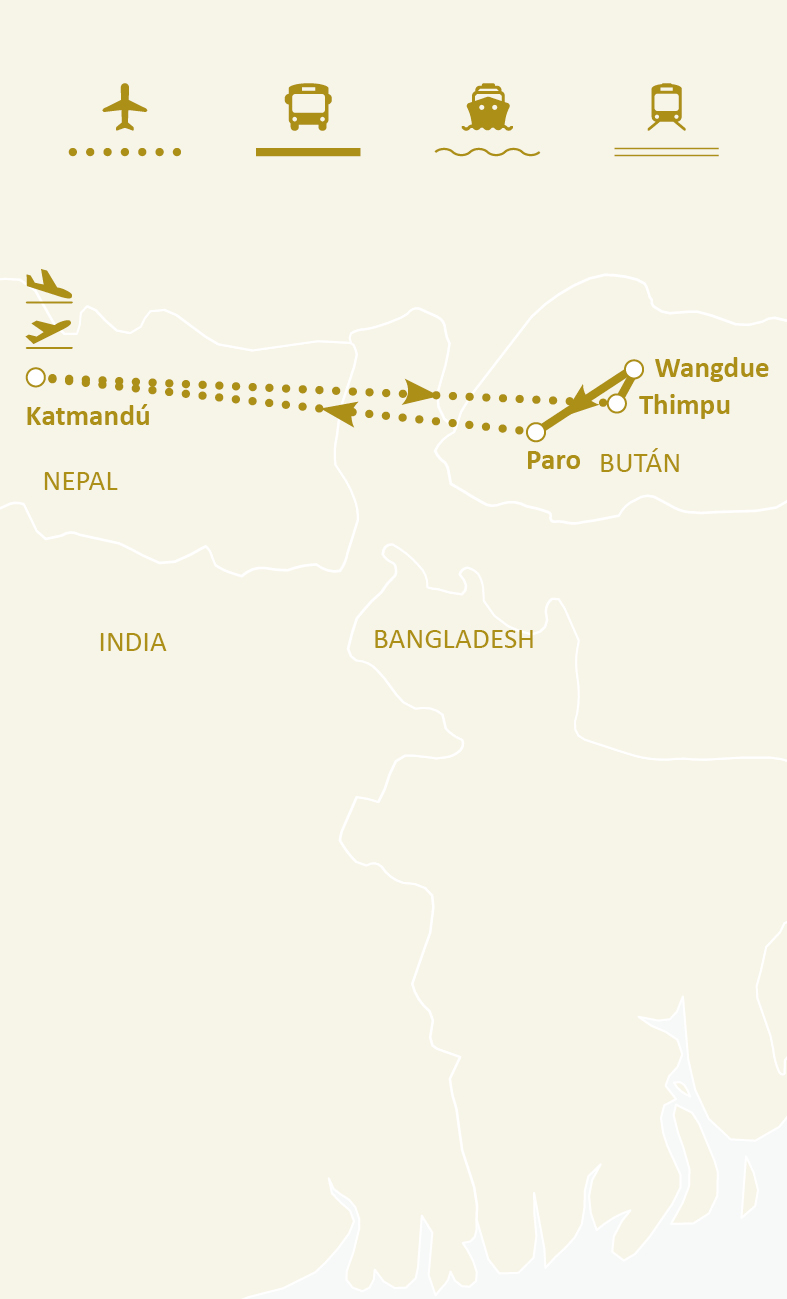 Mapa de ruta