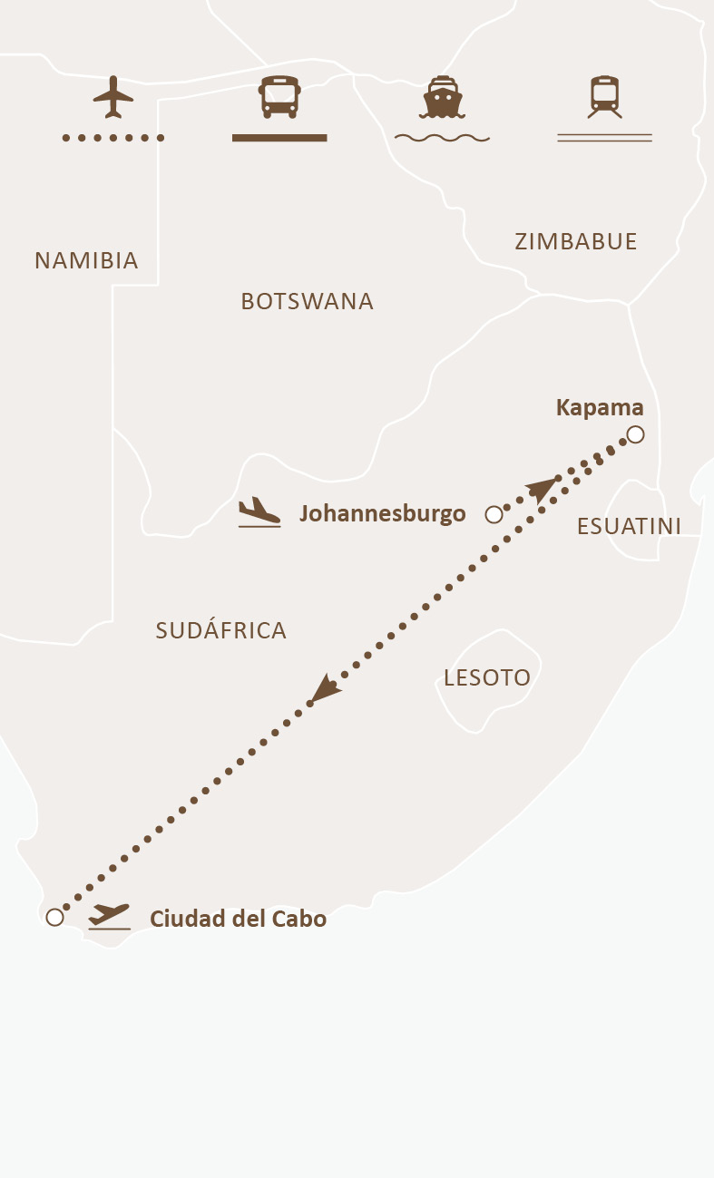 Mapa de ruta