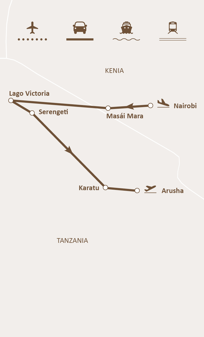 Mapa de ruta