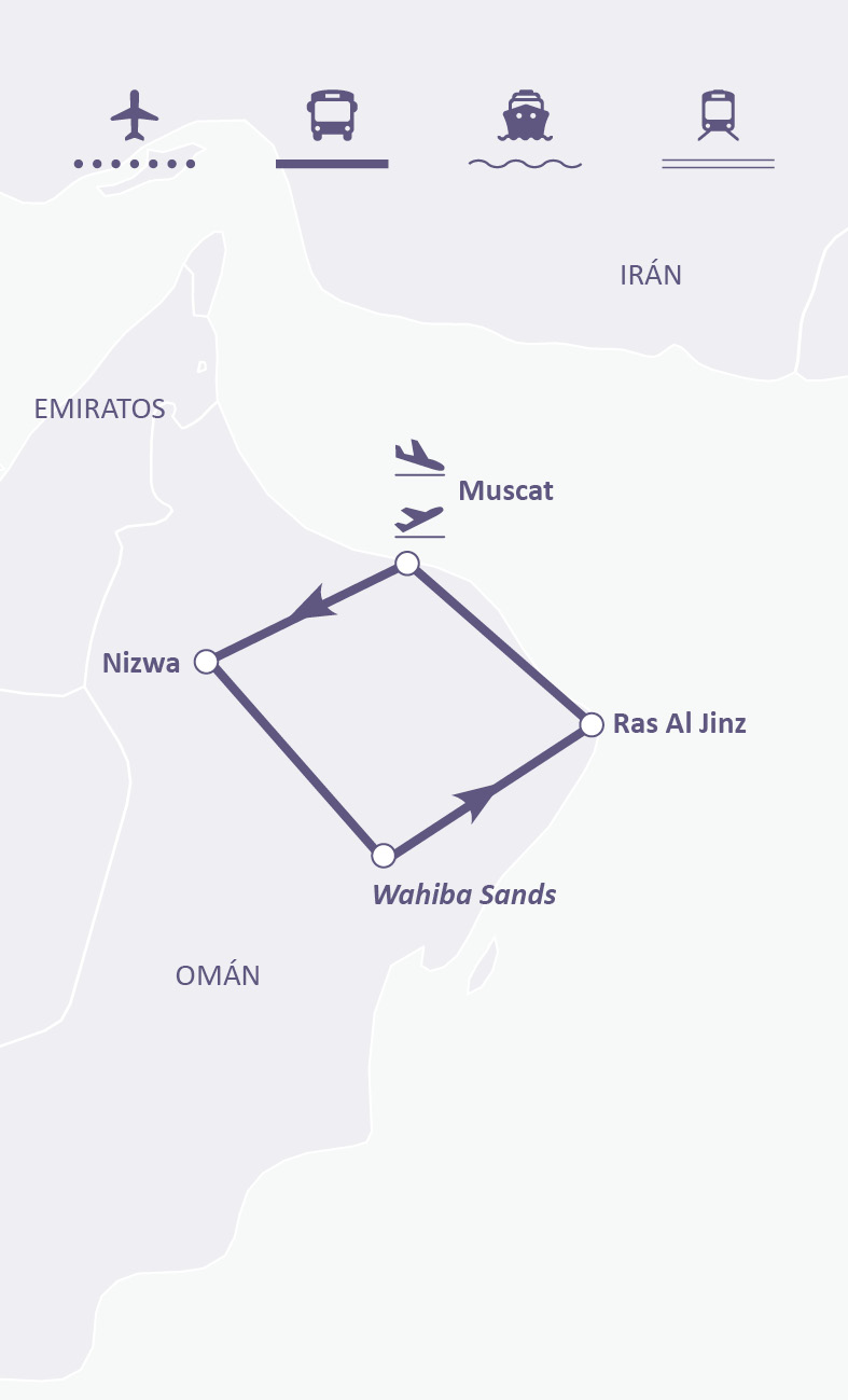 Mapa de ruta