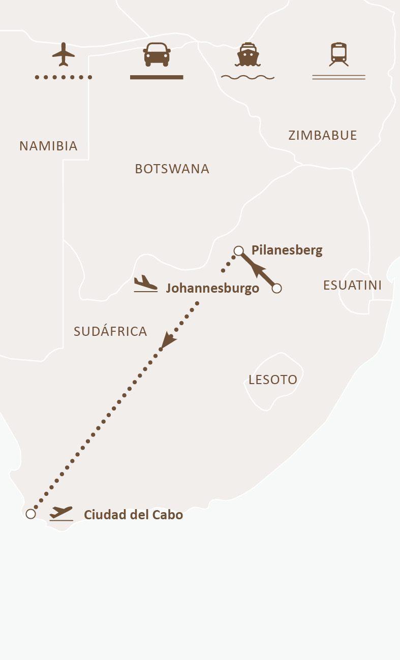 Mapa de ruta