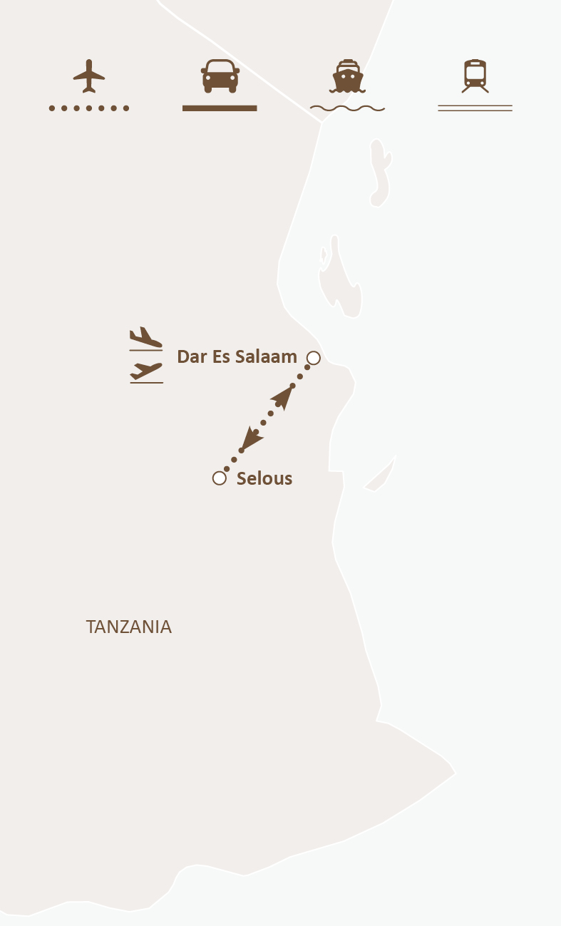 Mapa de ruta