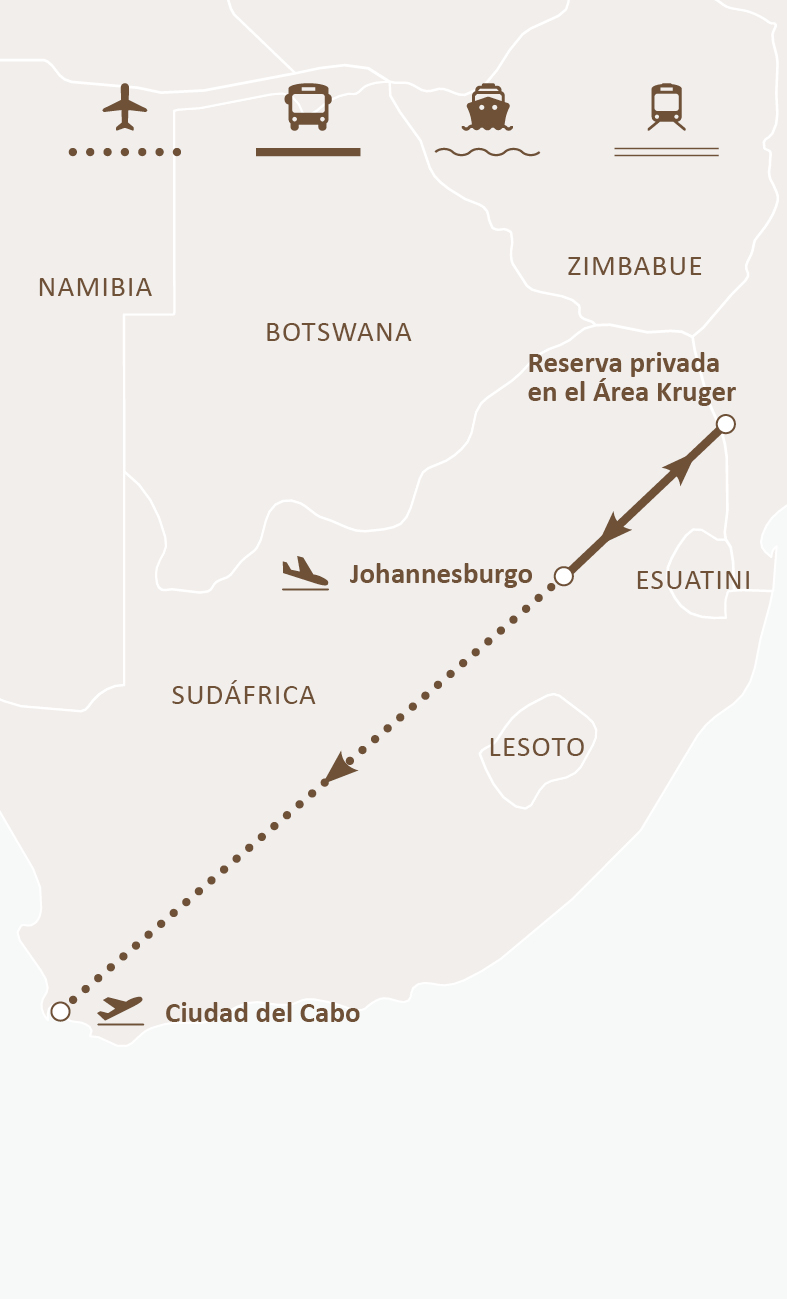 Mapa de ruta