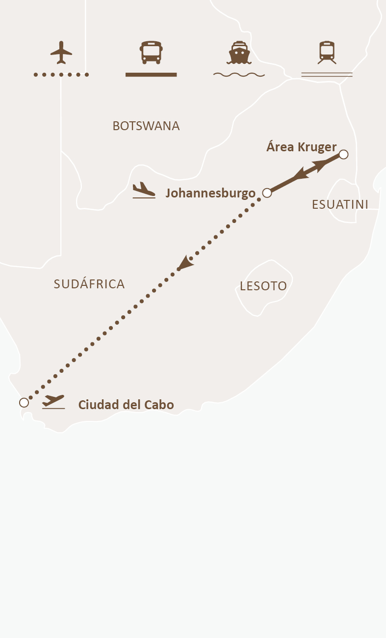 Mapa de ruta
