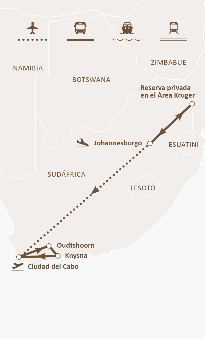 Mapa de ruta