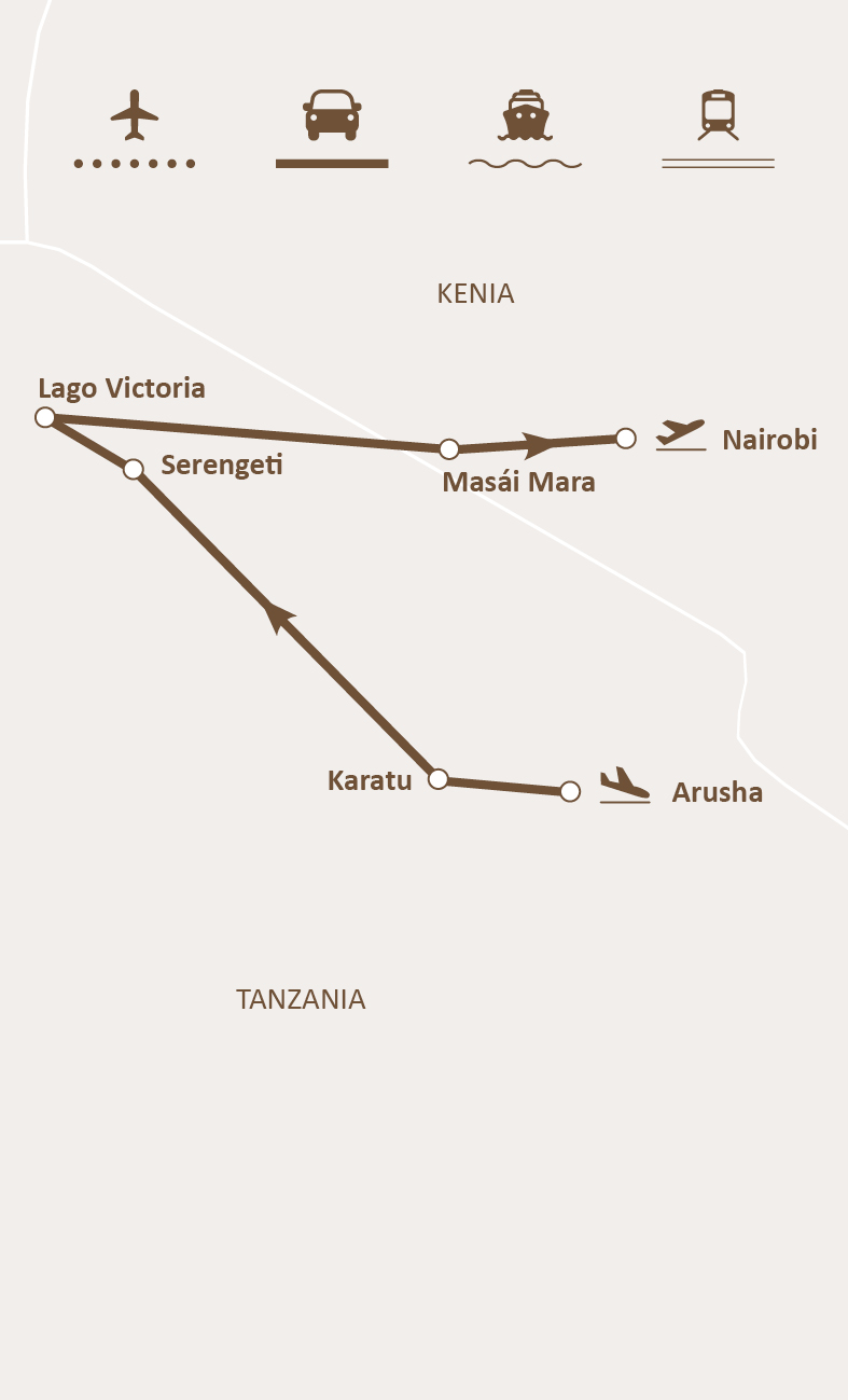 Mapa de ruta