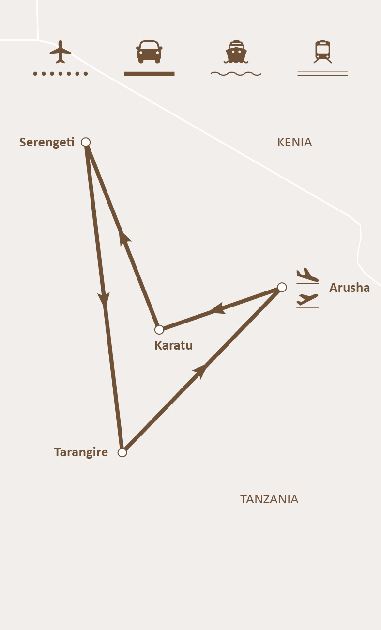 Mapa de ruta