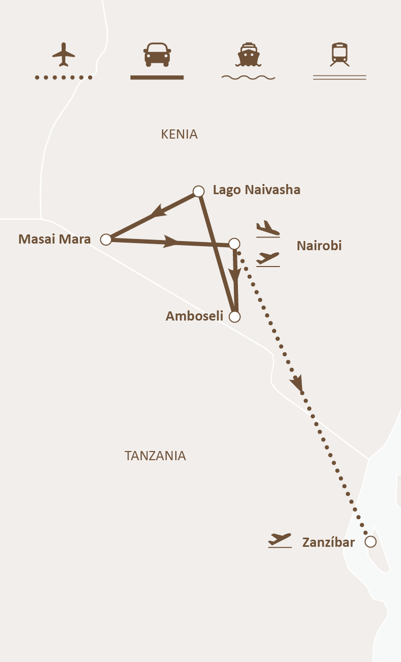 Mapa de ruta