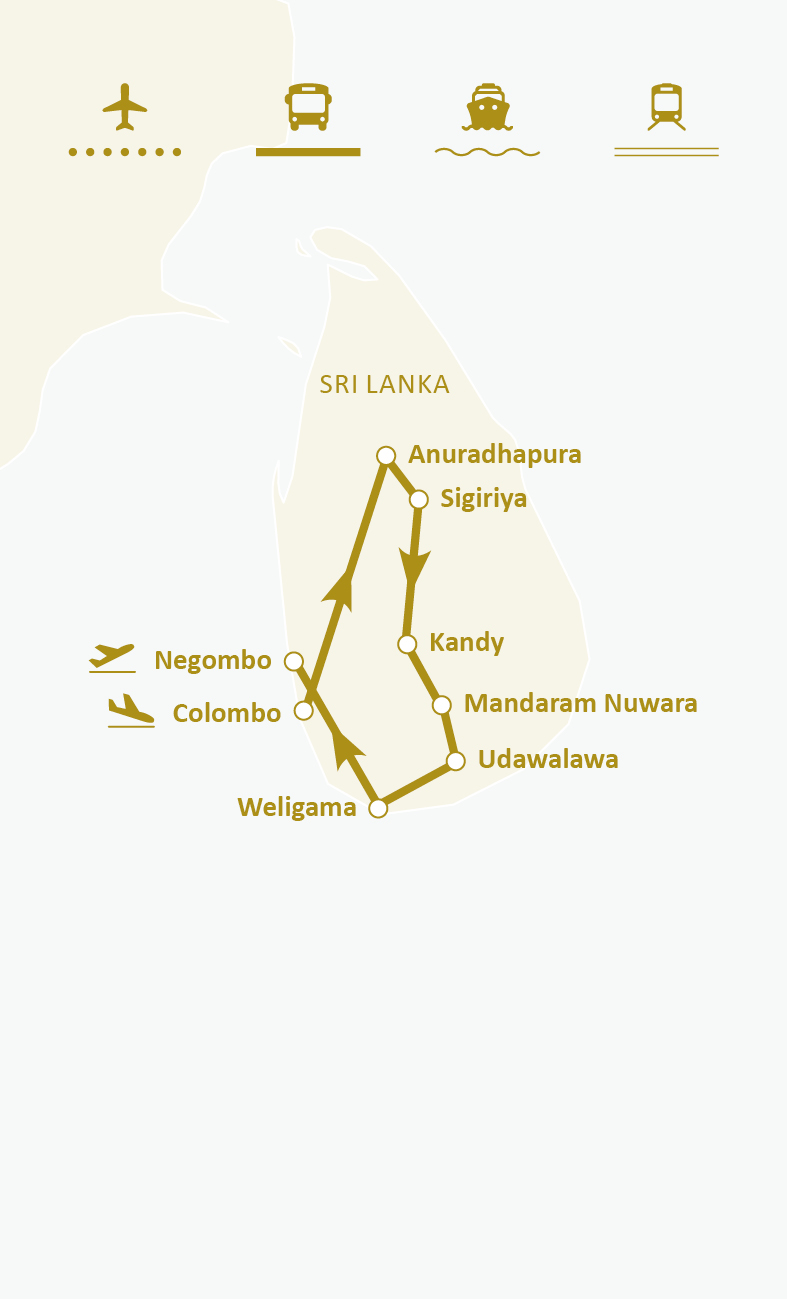 Mapa de ruta