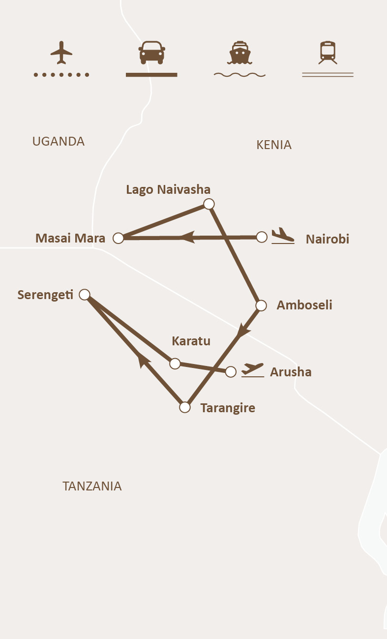 Mapa de ruta