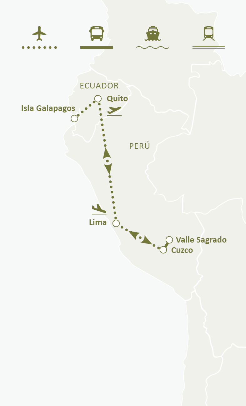 Mapa de ruta
