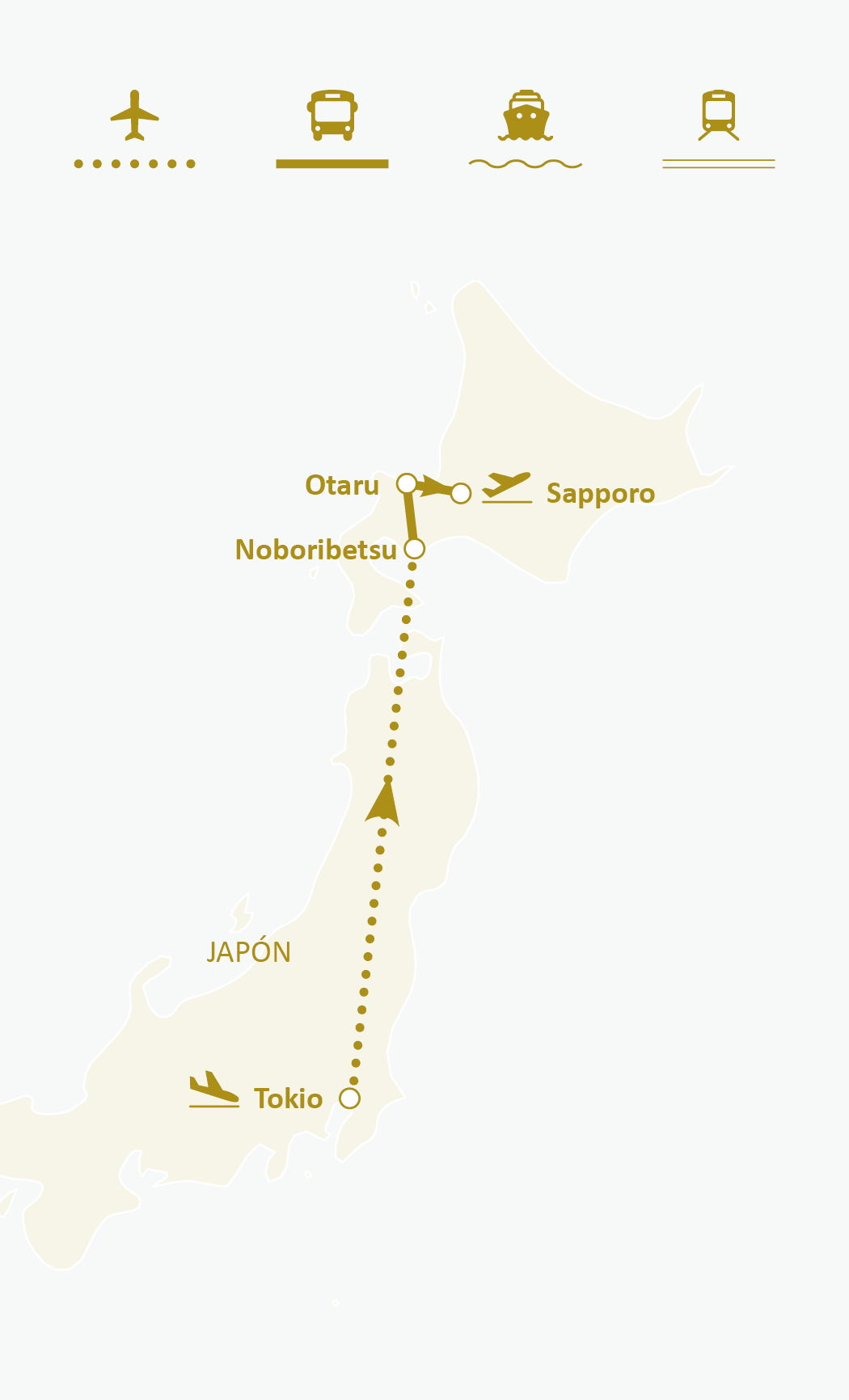 Mapa de ruta