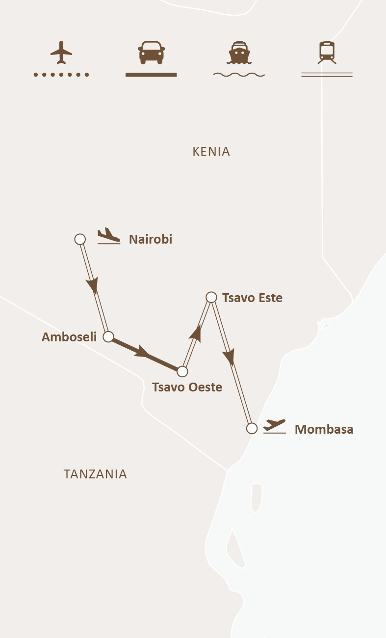 Mapa de ruta