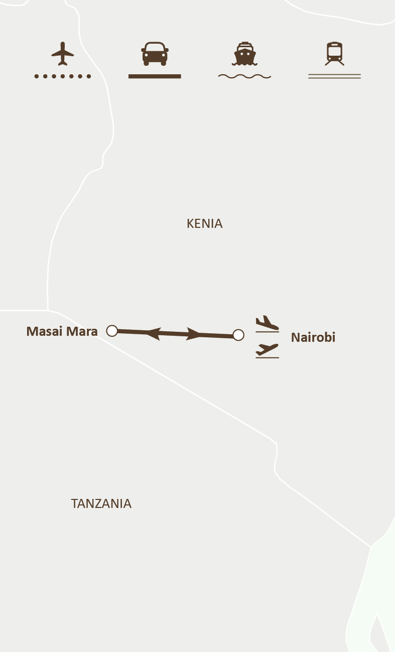Mapa de ruta