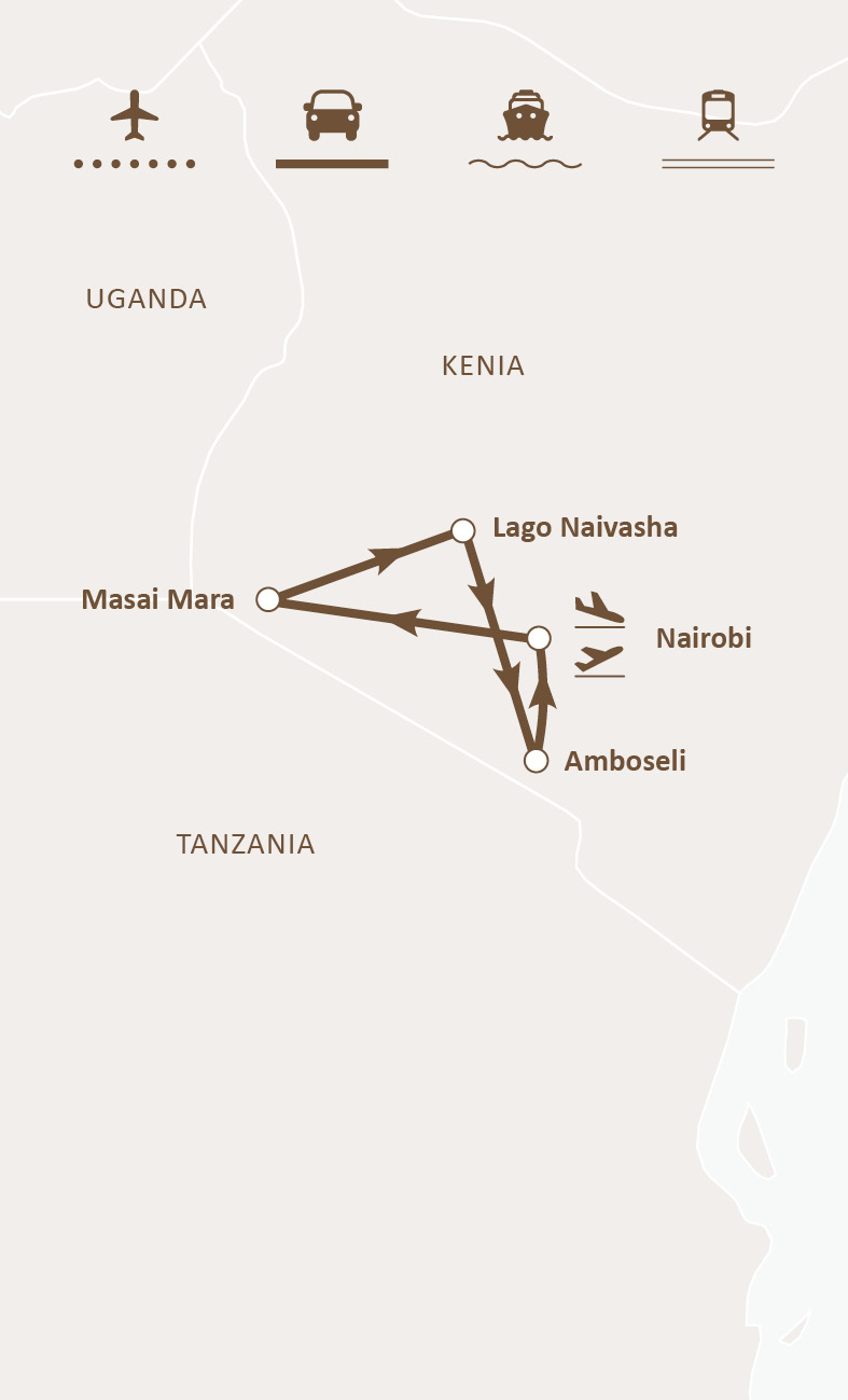 Mapa de ruta