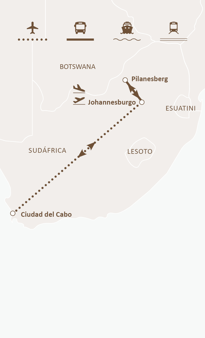 Mapa de ruta