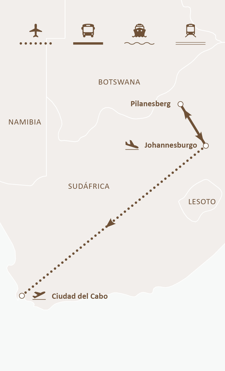 Mapa de ruta