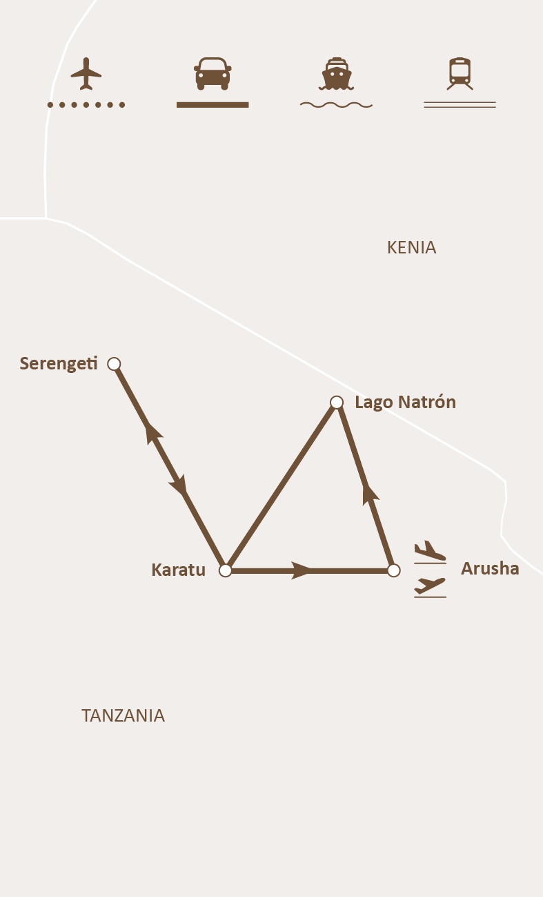 Mapa de ruta