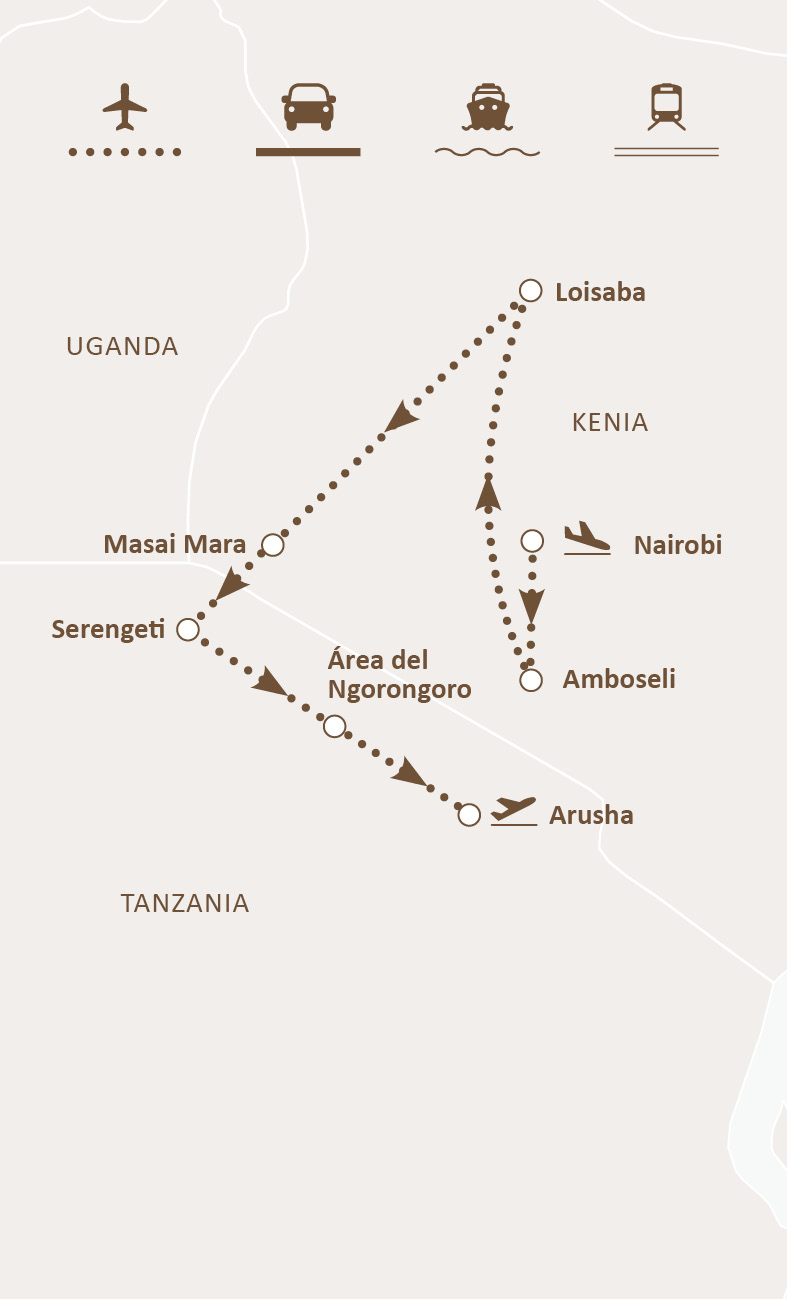 Mapa de ruta