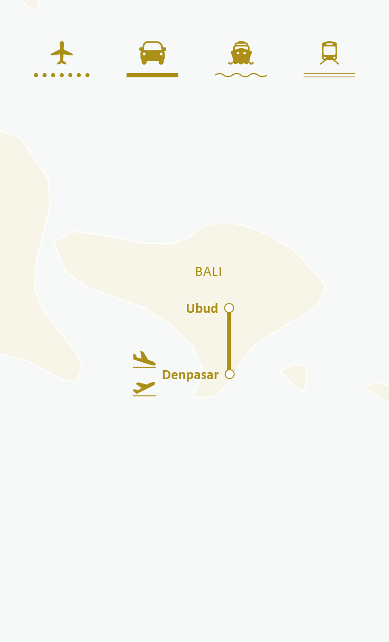 Mapa de ruta