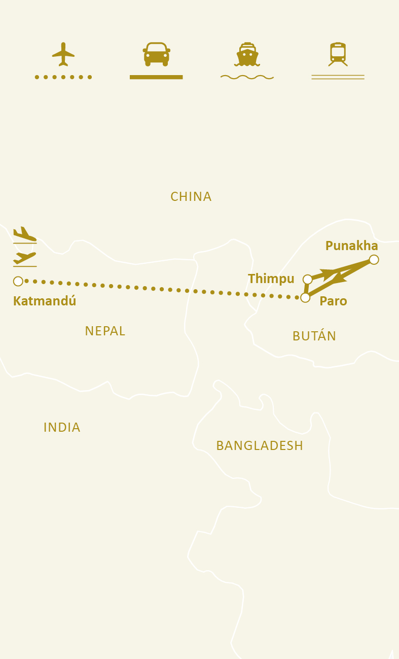 Mapa de ruta