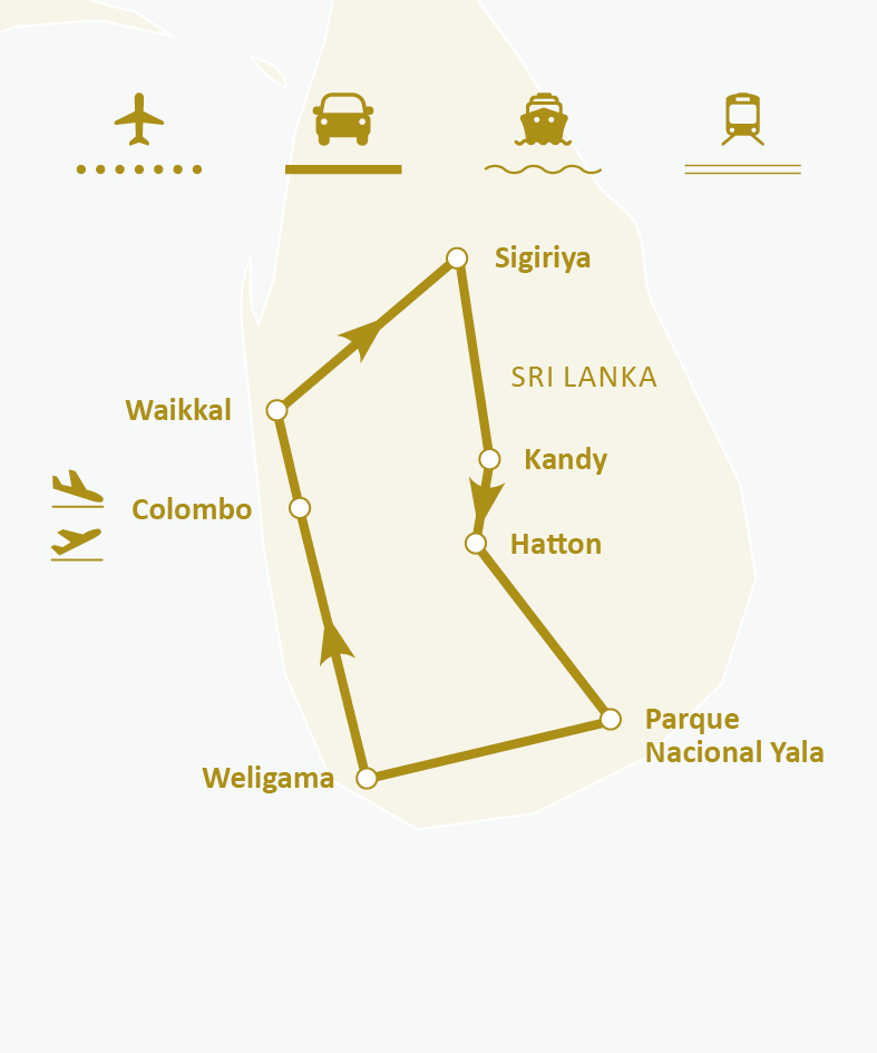 Mapa de ruta