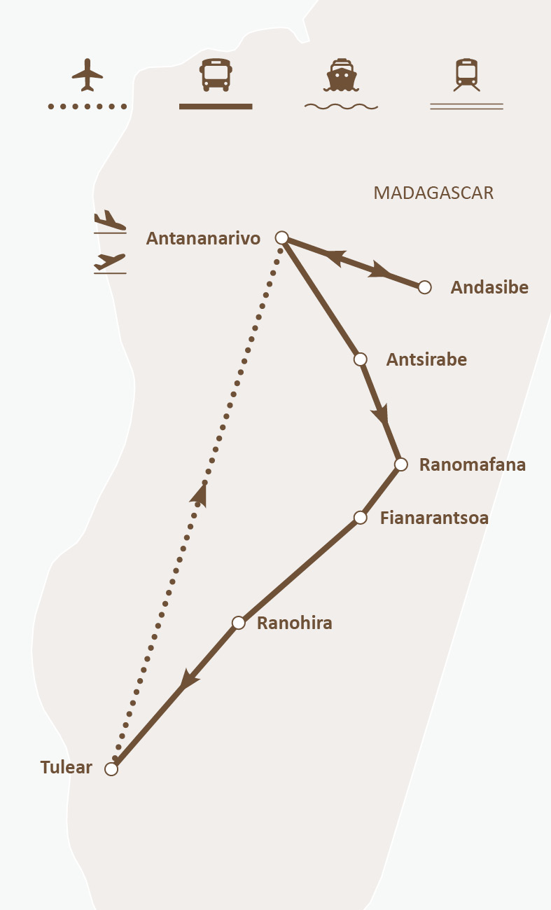 Mapa de ruta