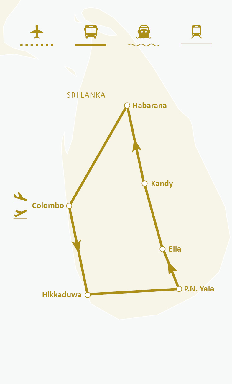 Mapa de rotas