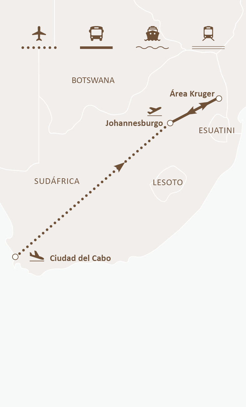Mapa de ruta