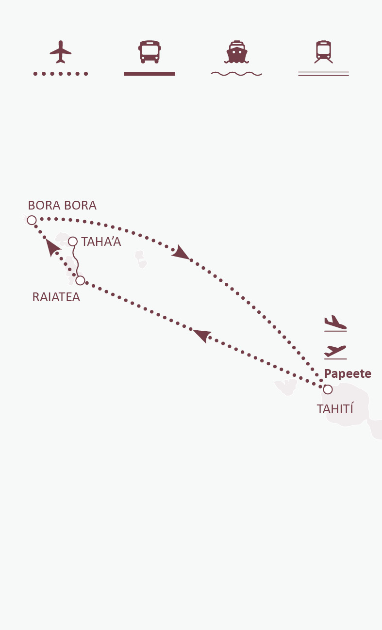 Mapa de ruta