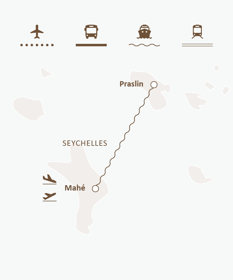 Mapa de ruta