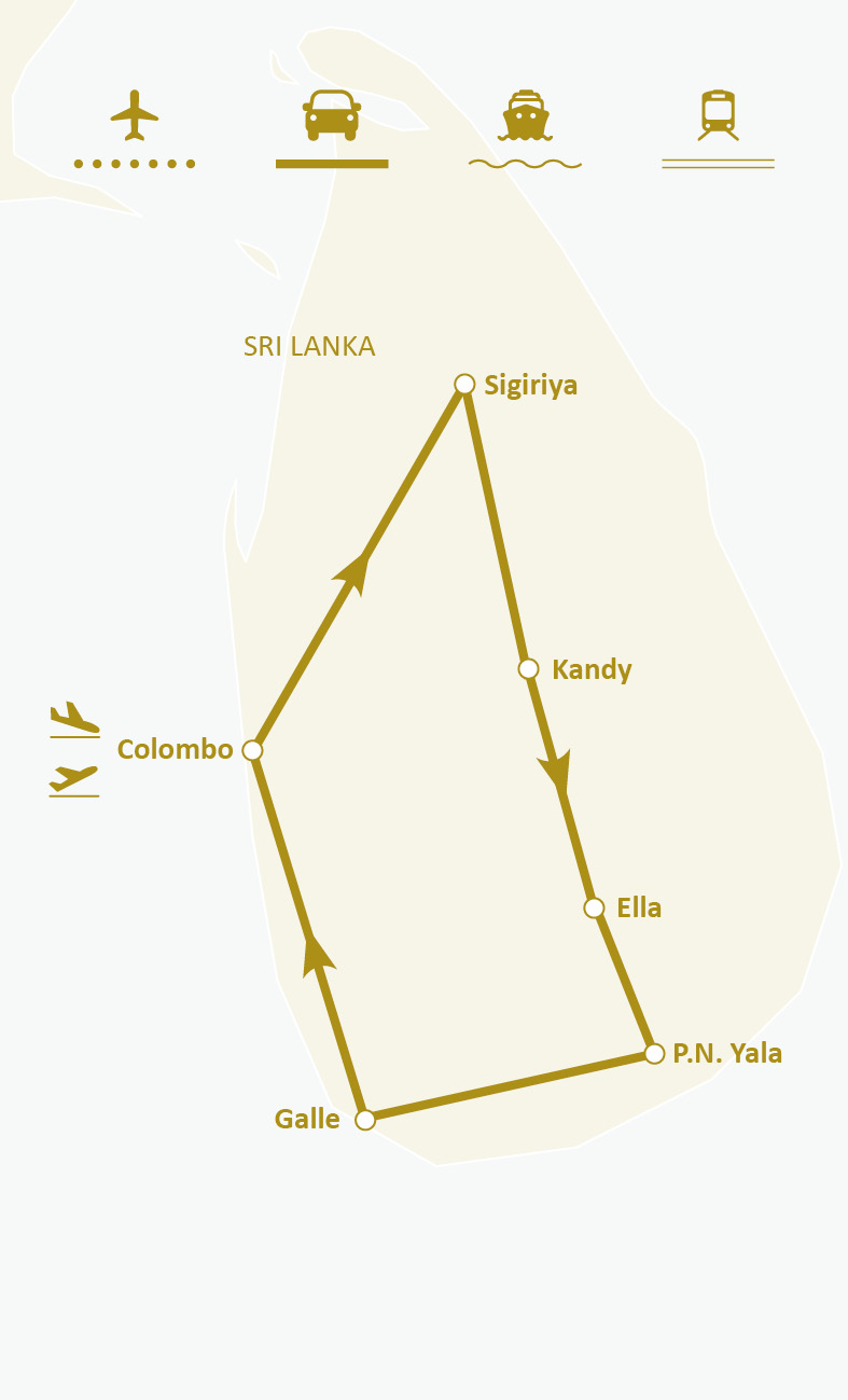 Mapa de ruta