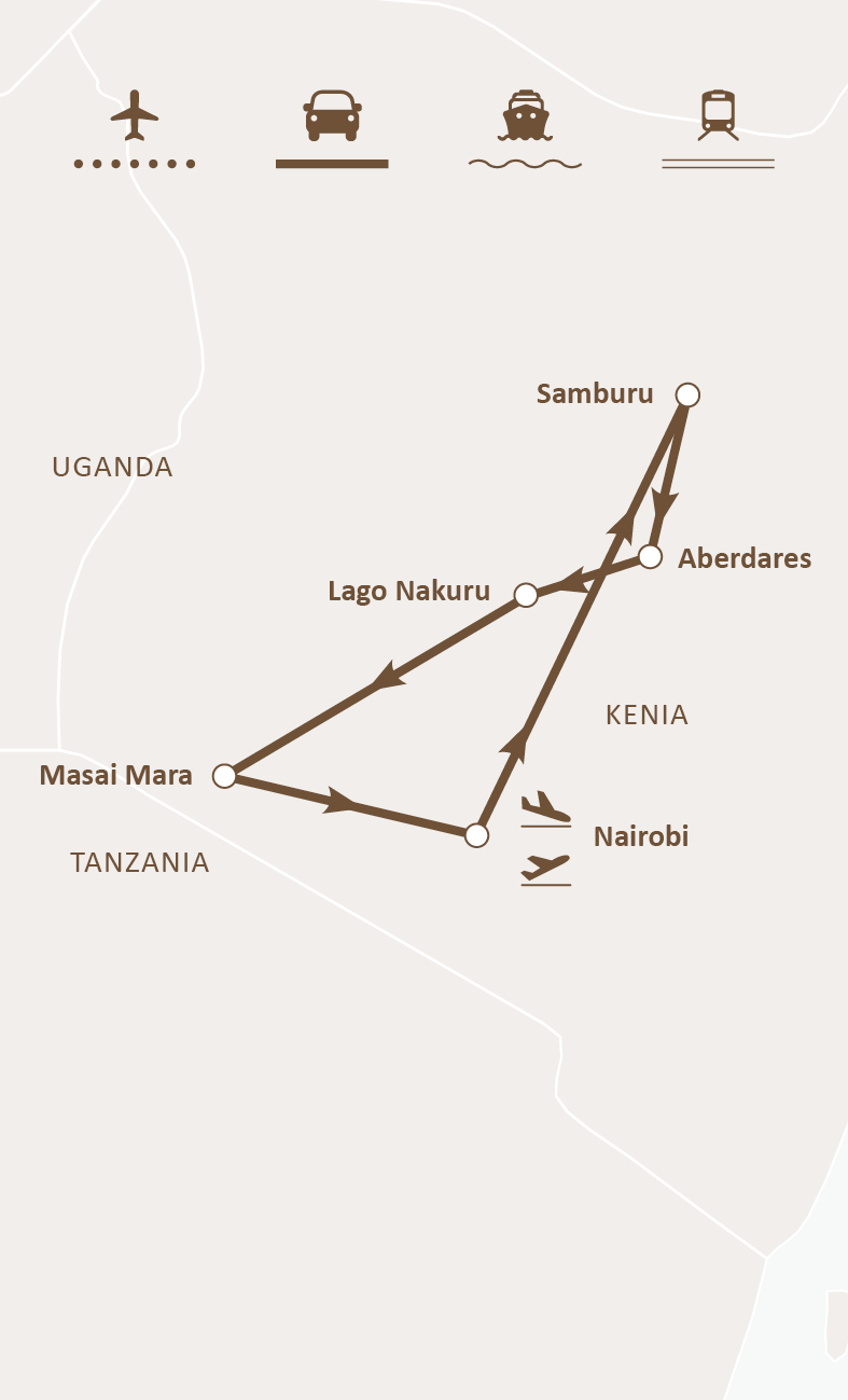 Mapa de ruta