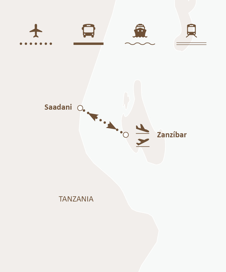Mapa de ruta