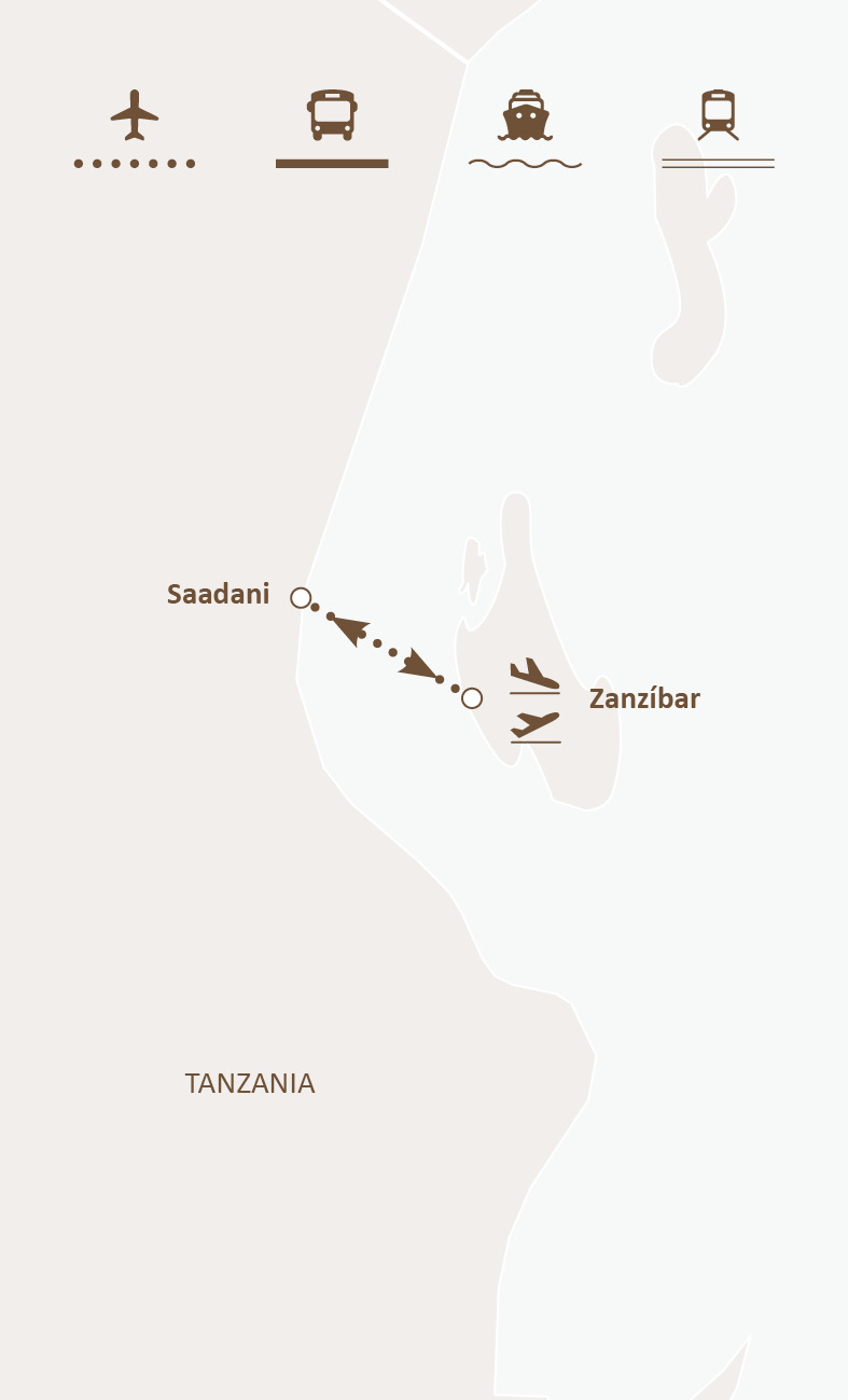 Mapa de ruta
