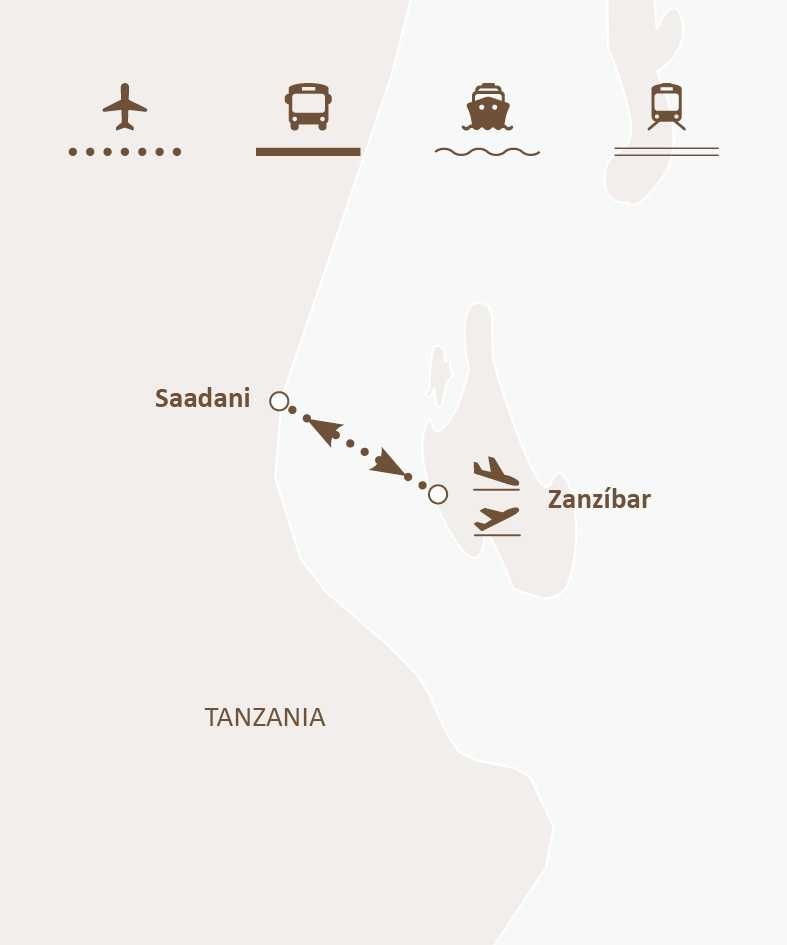 Mapa de ruta
