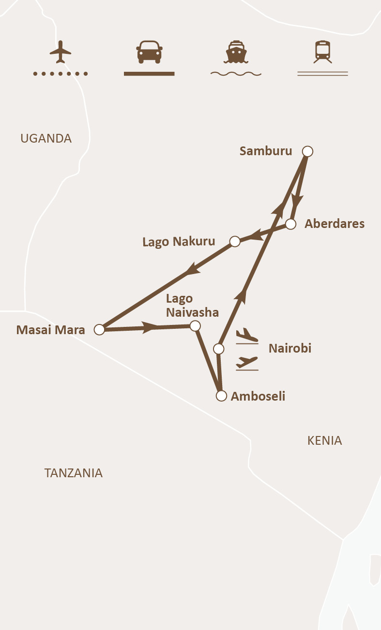 Mapa de ruta