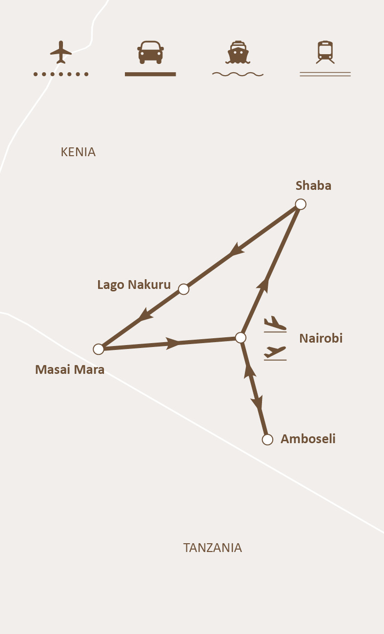 Mapa de ruta