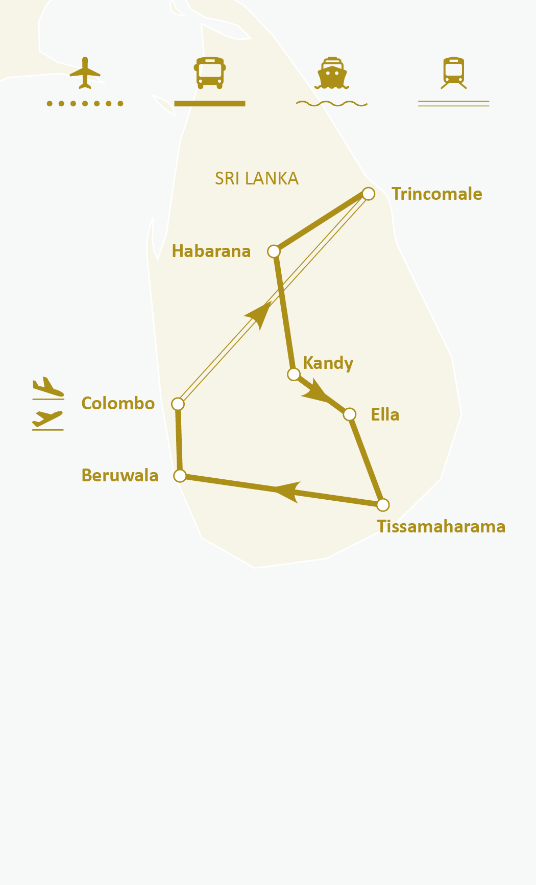 Mapa de ruta