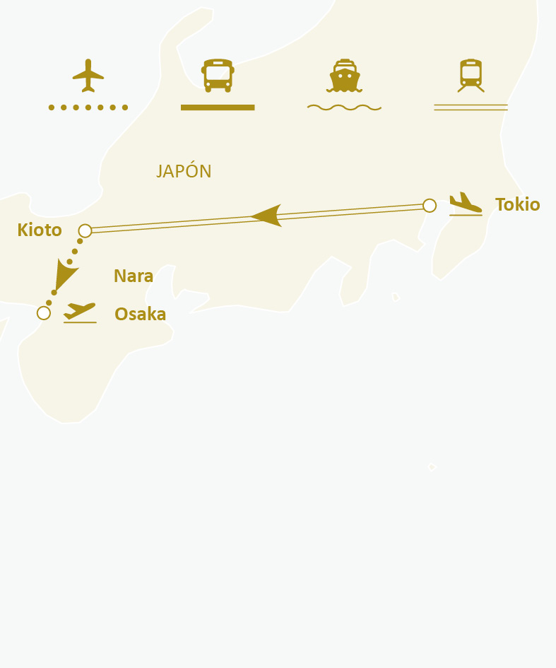 Mapa de ruta