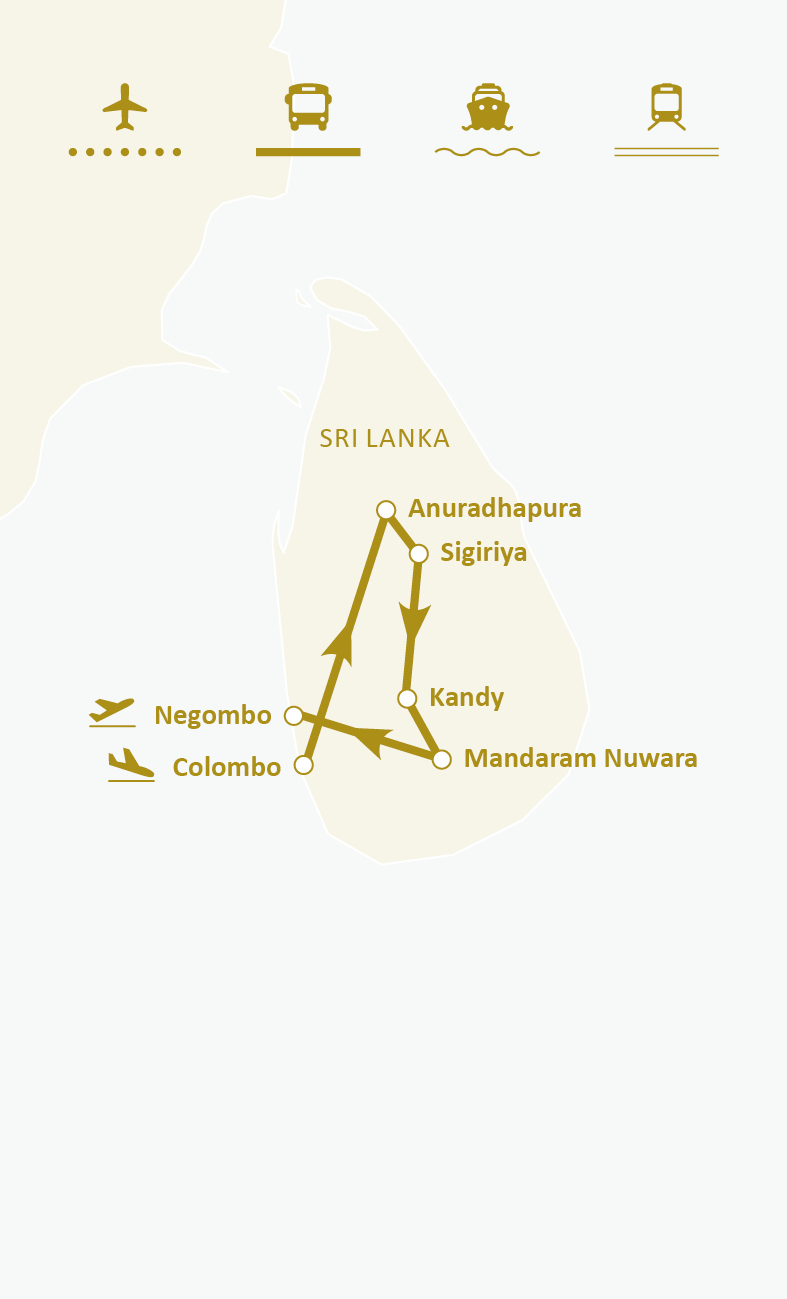 Mapa de ruta