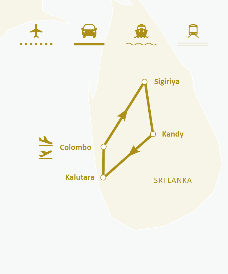 Mapa de ruta
