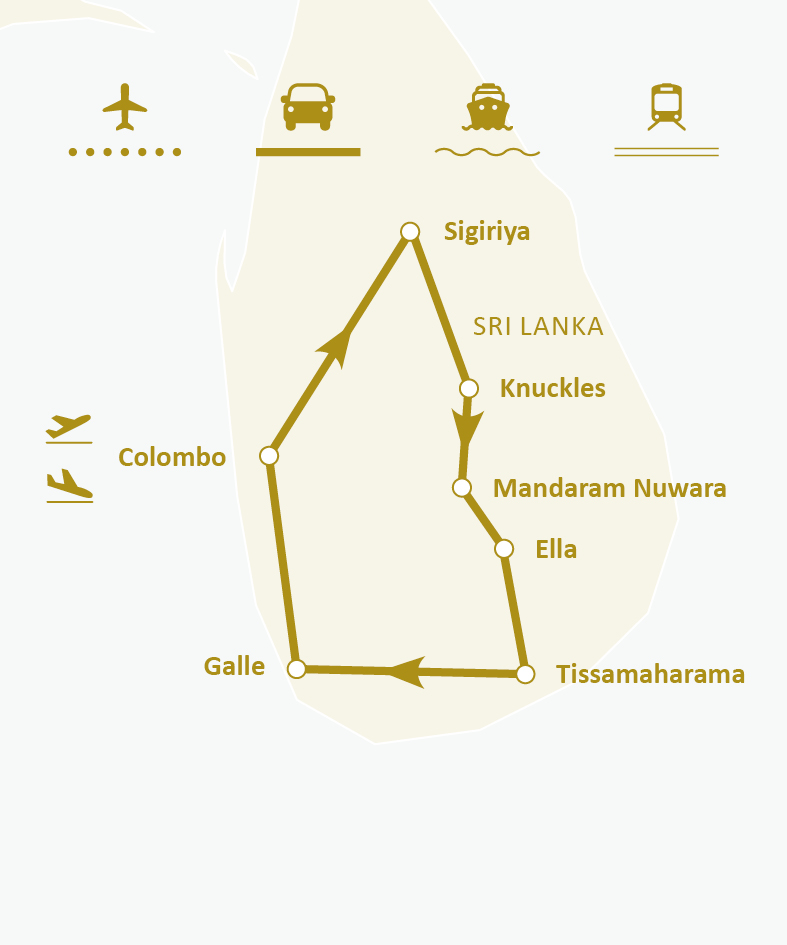 Mapa de ruta