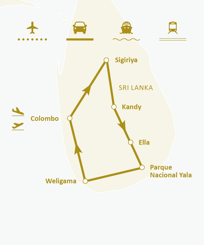 Mapa de ruta