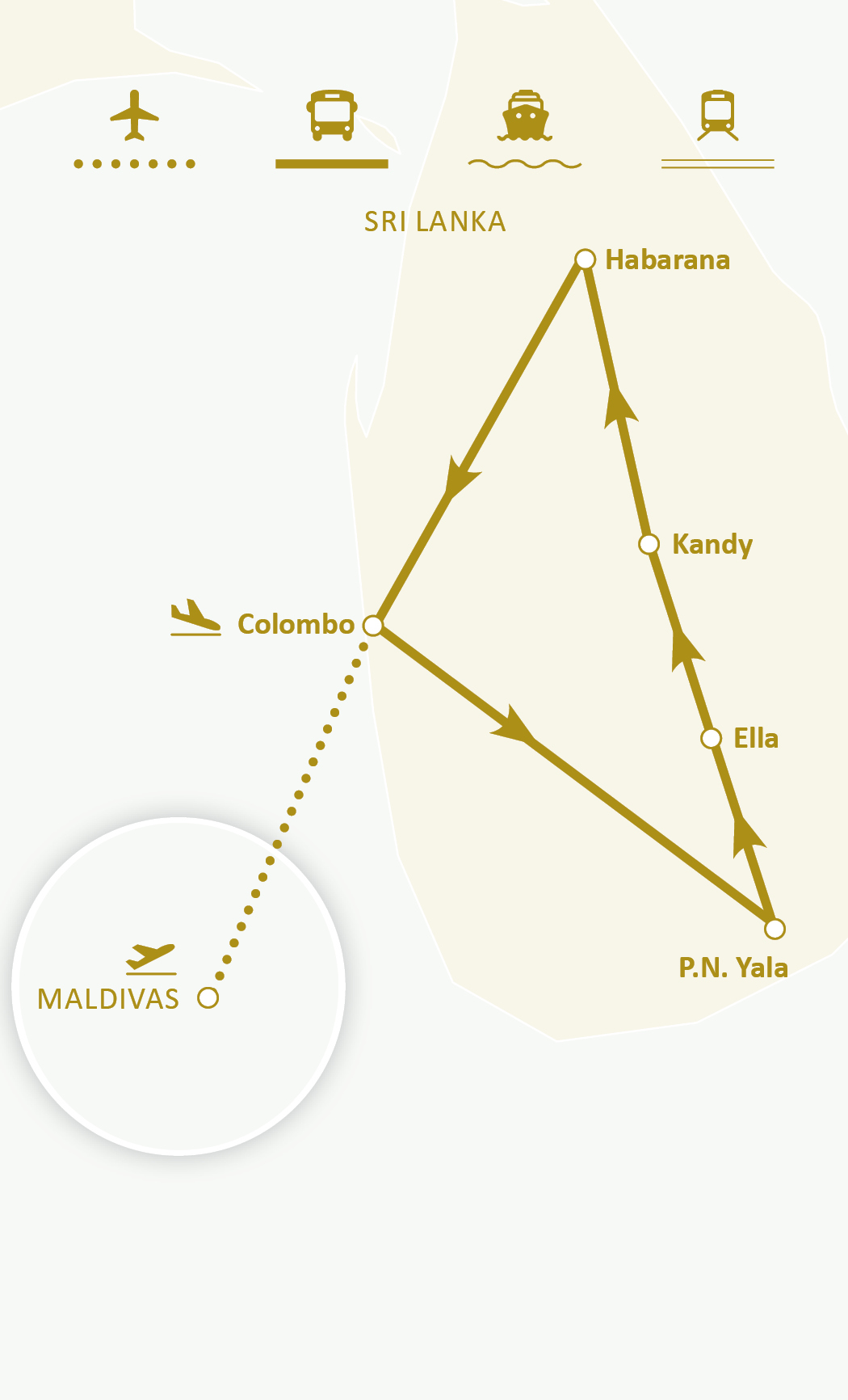 Mapa de ruta