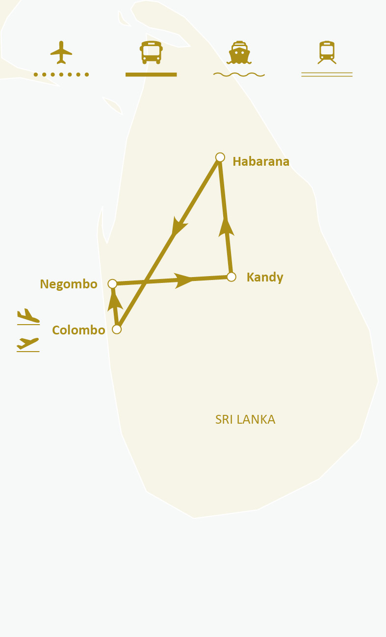 Mapa de ruta