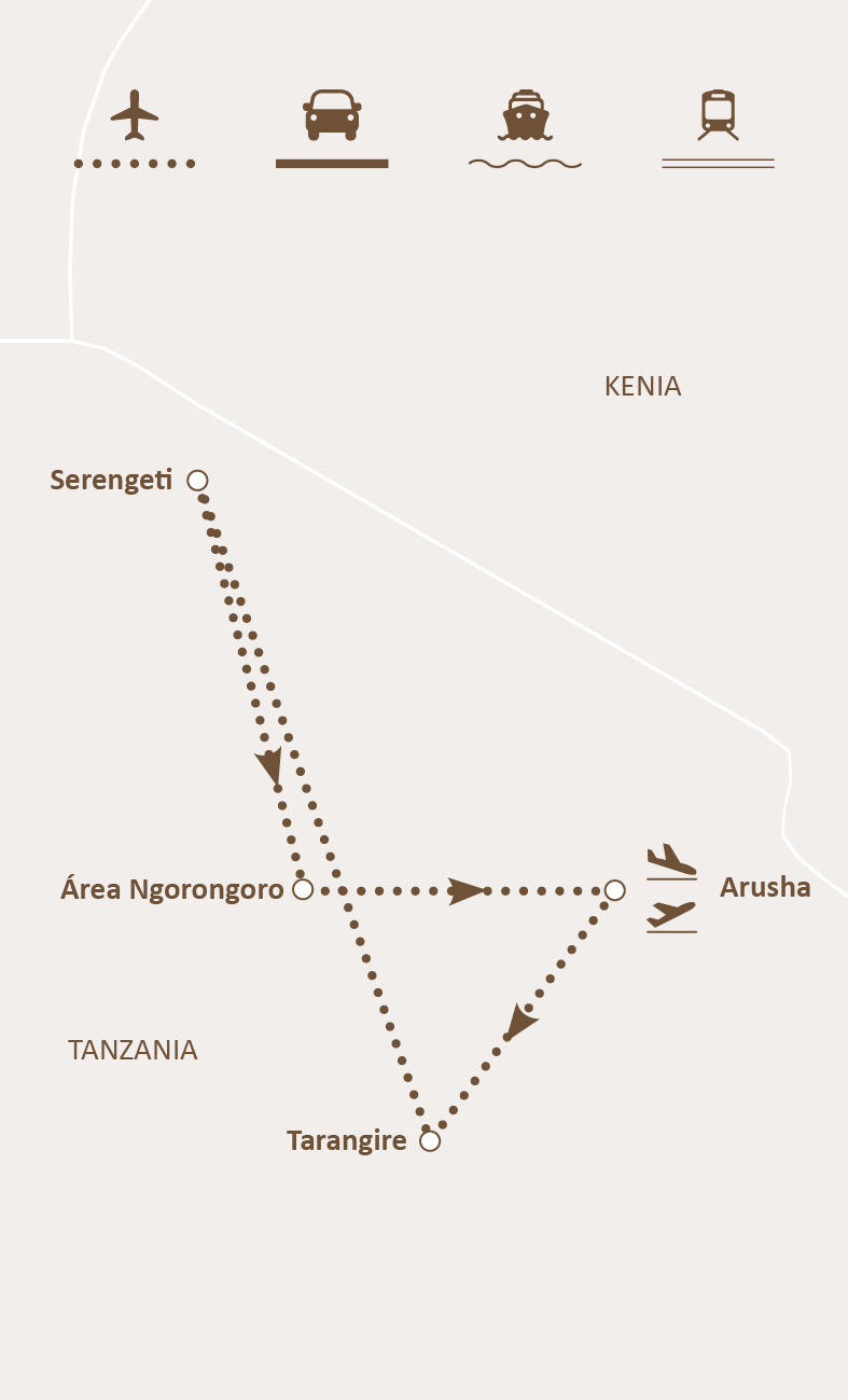 Mapa de ruta